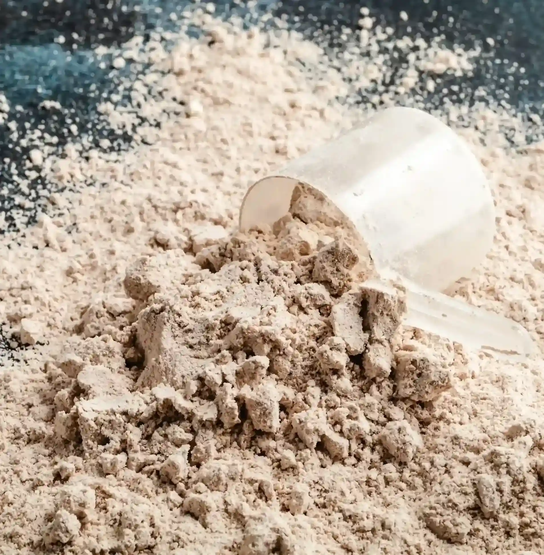 bone-meal