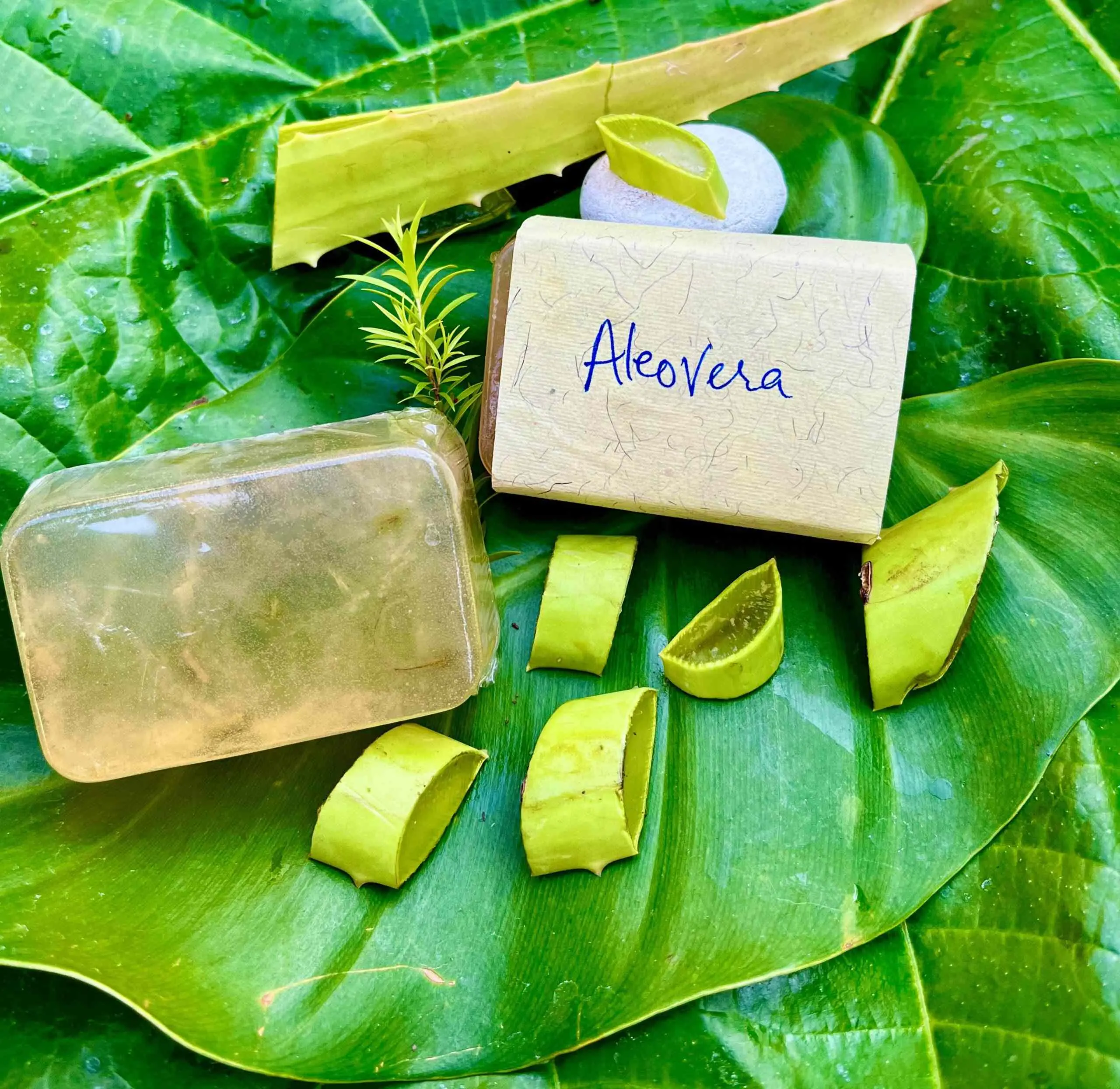 Aloe Vera Soap