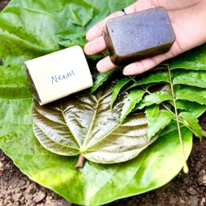 Neem Soap