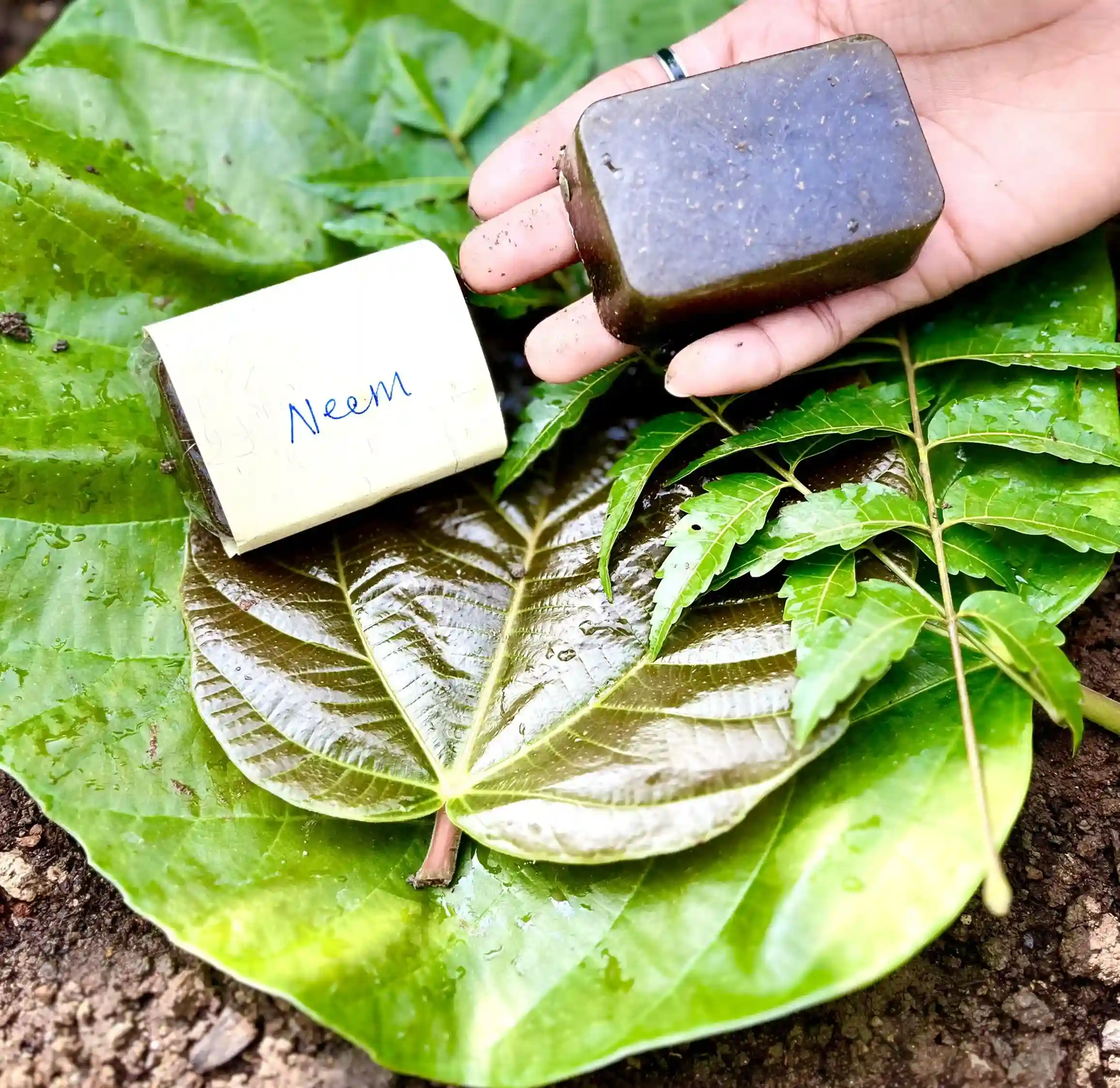 Neem Soap