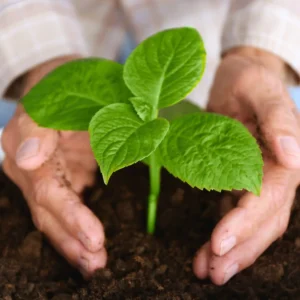 Concentrated Potting Mix for Fruits and Vegetable Plants 2 kg