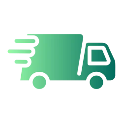 Fast Delivery Delivery